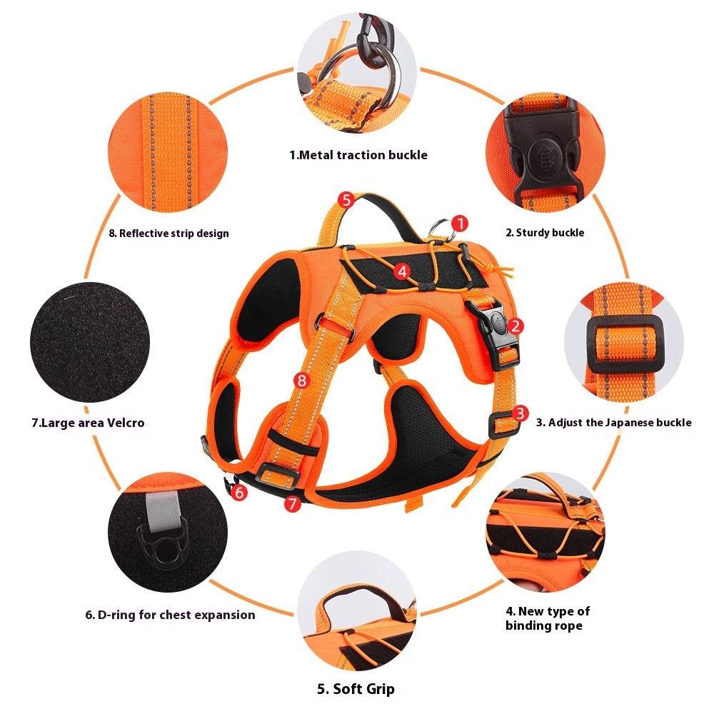 Doberman wearing orange pet hand holding rope harness for secure dog walking