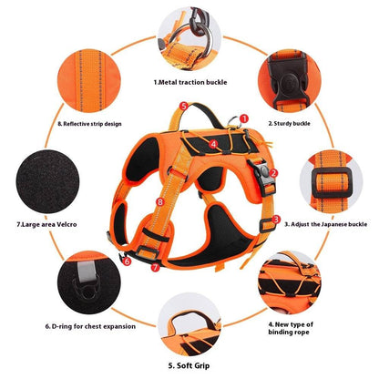 Doberman wearing orange pet hand holding rope harness for secure dog walking