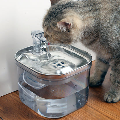 Stainless Steel Automatic Water Fountain