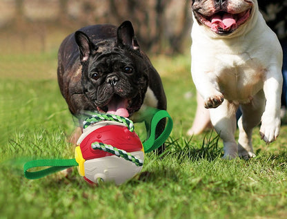 Interactive Soccer Ball Training Toy