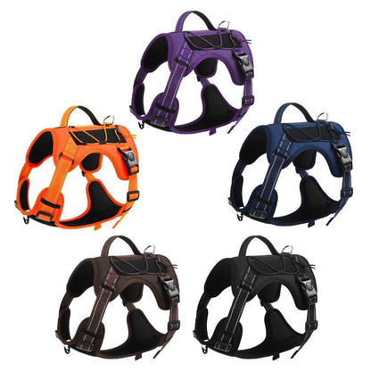 Doberman wearing orange pet hand holding rope harness for secure dog walking