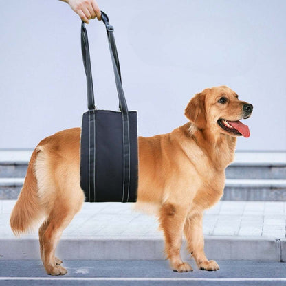 Adjustable dog rehabilitation training belt in black supporting golden retriever mobility