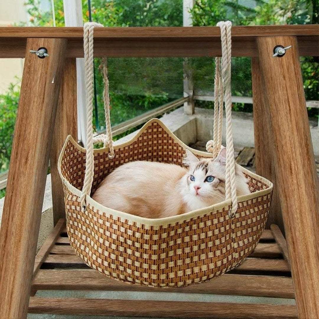 Cat resting in eco-friendly woven rattan cat nest hammock hanging indoors